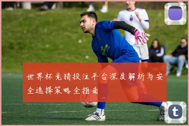 世界杯竞猜投注平台深度解析与安全选择策略全指南