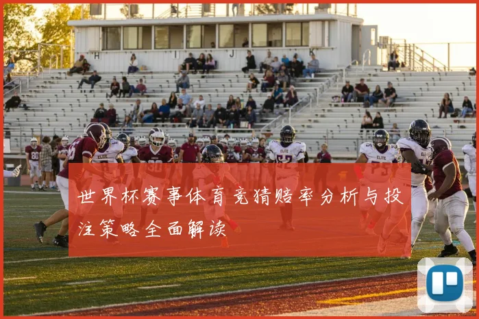 世界杯赛事体育竞猜赔率分析与投注策略全面解读