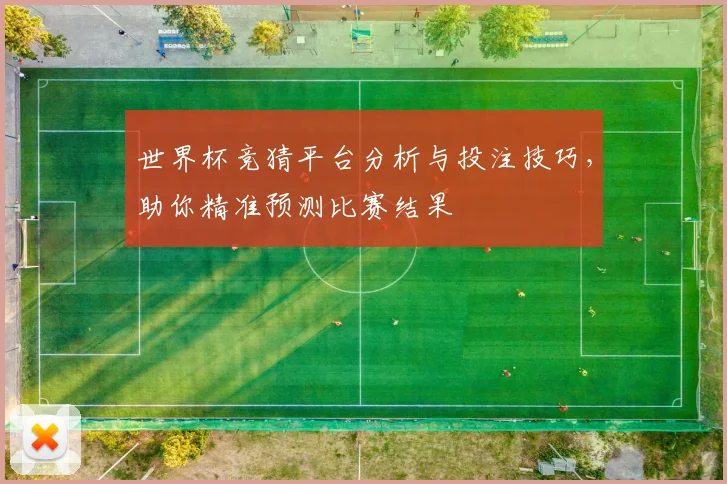 世界杯竞猜平台分析与投注技巧，助你精准预测比赛结果