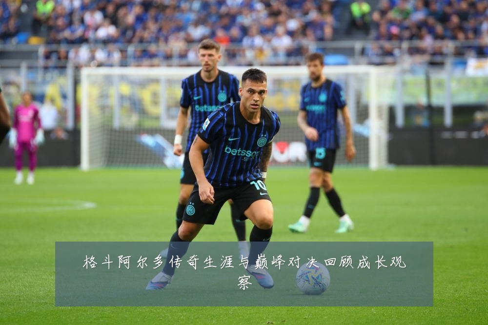 格斗阿尔多传奇生涯与巅峰对决回顾成长观察