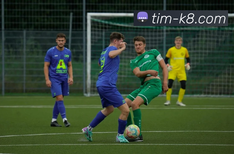 凯发娱乐平台展示图